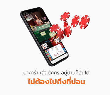 บาคาร่า เสือมังกร อยู่บ้านก็ลุ้นได้ ไม่ต้องไปถึงที่บ่อน - heng2lotto.com